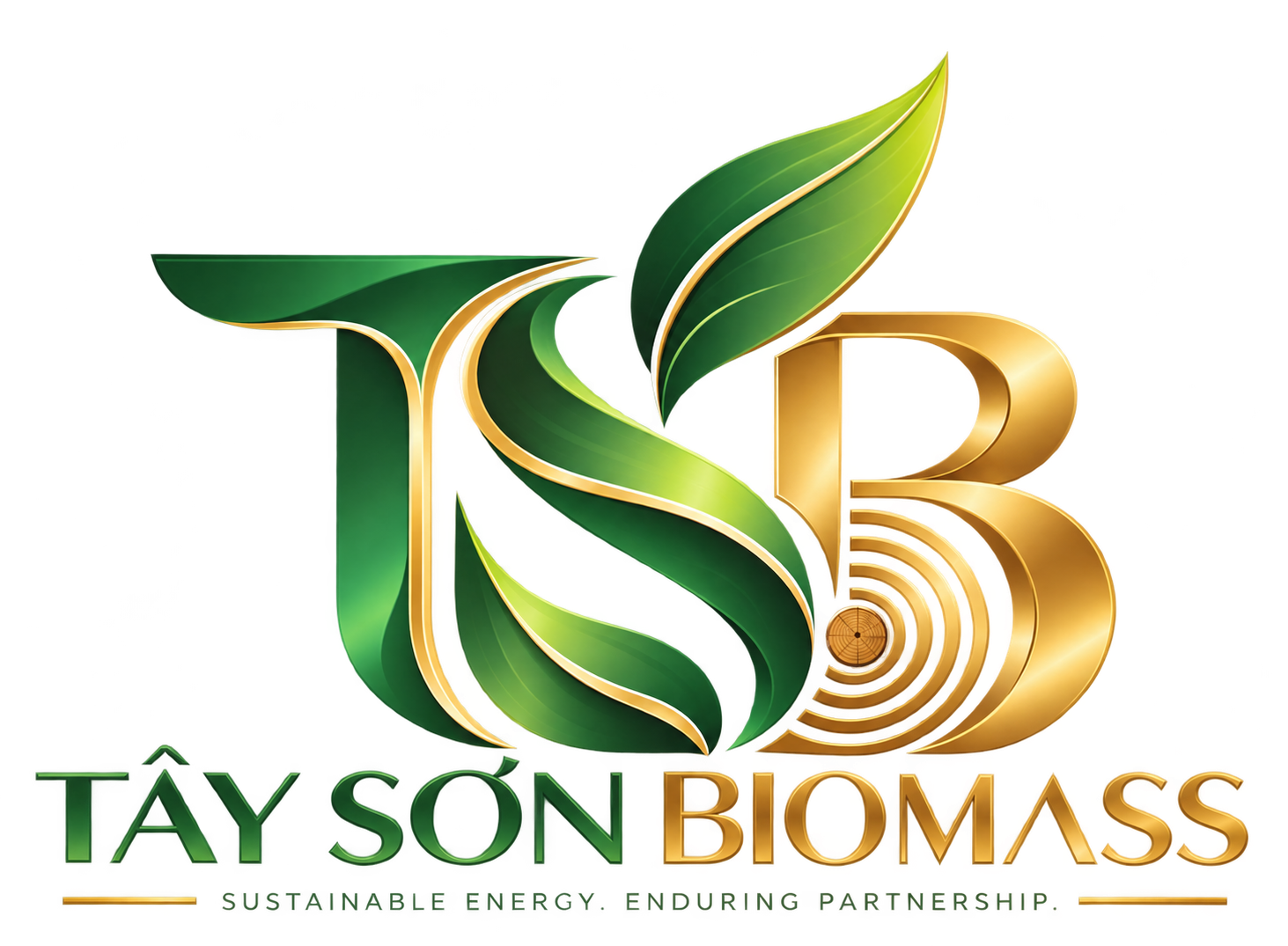 Tay Son Biomass