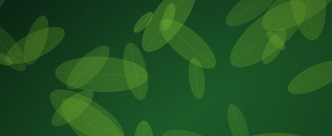Tây Sơn Biomass launches new brand identity